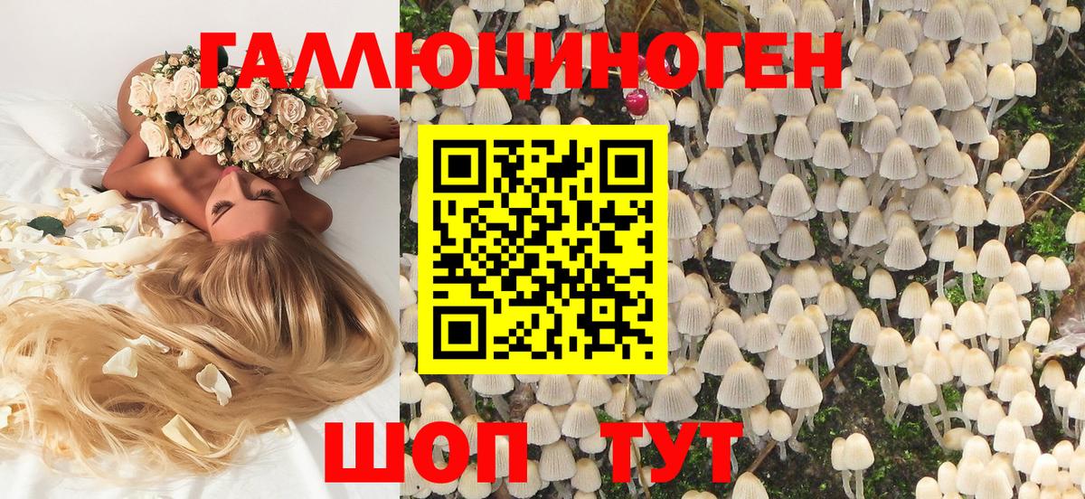Галлюциногенные грибы Psilocybine cubensis Богданович